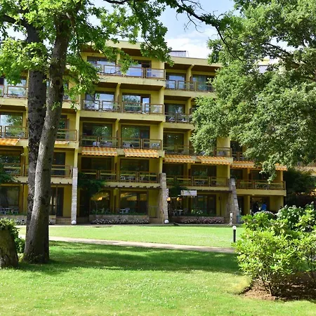 магнолиите Приморско