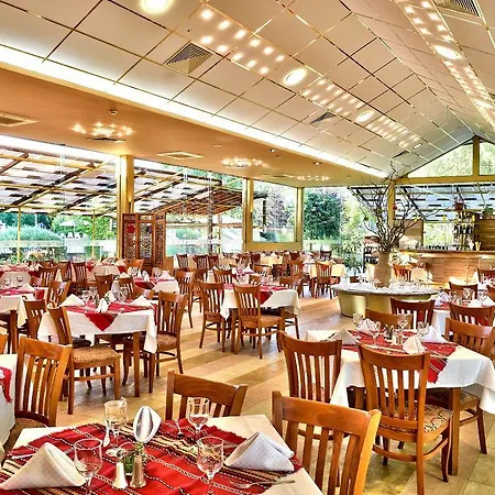 магнолиите